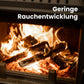 Buchen-Brennholz 25 cm kammergetrocknet – 1 RM / 1,6 SRM Palette (500 kg)